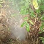Kebocoran Pipa Gas Terjadi Timpa Kepunyaan PT Pertamina EP Pendopo Field