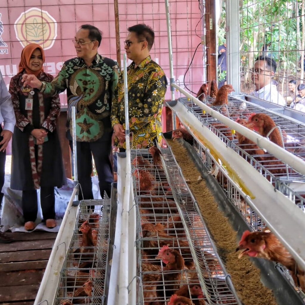 Kandang Petelur “Merah Putih” dari Charoen Pokphand untuk Kelompok Peternak Kaum Disabilitas di Gunung Kidul