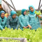 Penanganan Sampah, Edukasi Pengelolaan Sampah Rumah Tangga, dan Pemberian Bantuan Tanaman Keras