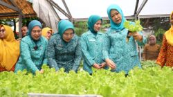 Penanganan Sampah, Edukasi Pengelolaan Sampah Rumah Tangga, dan Pemberian Bantuan Tanaman Keras
