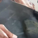 Inikah  Wujud Ijazah Jokowi yang Diminta Penyidik untuk Diperiksa di Bareskrim Polri, Logo UGM Memudar