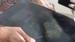 Inikah Wujud Ijazah Jokowi yang Diminta Penyidik untuk Diperiksa di Bareskrim Polri, Logo UGM Memudar