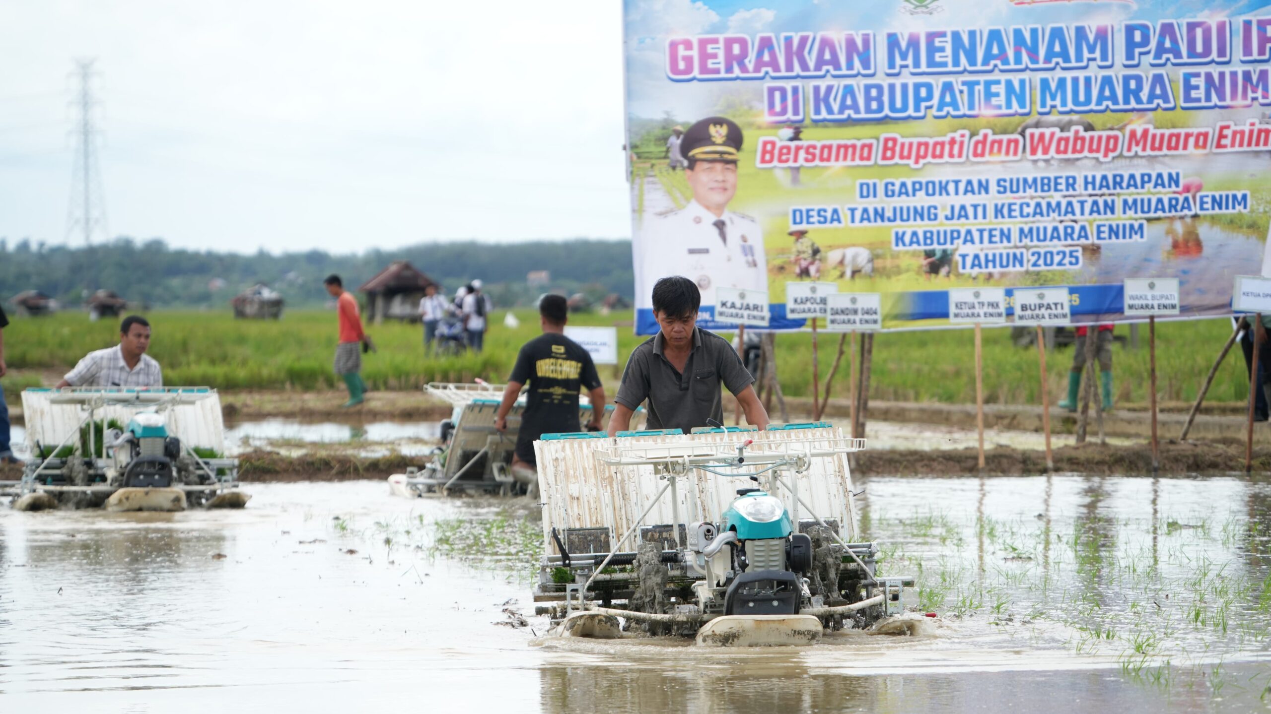 Gebrakan 100 Hari Kerja: Bupati Muara Enim Luncurkan Program Pupuk Murah untuk Petani