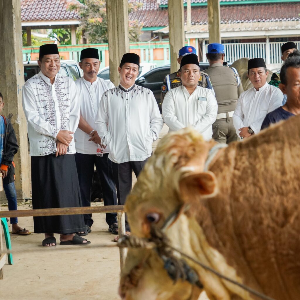 Warga Muba Sembelih Sapi Qurban dari Presiden Prabowo Subianto