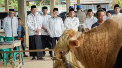 Warga Muba Sembelih Sapi Qurban dari Presiden Prabowo Subianto