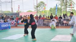 900 Peserta Pencak Silat Beradu Keterampilan di Bupati Cup III Musi Banyuasin 2025!
