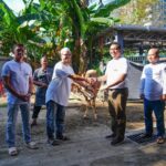 Idul Adha 1446 H, PLN S2BJ Berbagi Hewan Kurban Memperkuat Persaudaraan