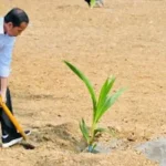 Beathor Suryadi Sebut Jokowi Timbun Harta Triliunan Rupiah di Bawa Tanah Dalam Rumahnya?