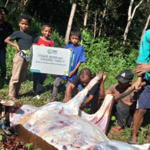 Rayakan Idul Adha 1446H, PLN Salurkan 2.811 Ekor Hewan Kurban Rayakan Idul Adha 1446H, PLN Salurkan 2.811 Ekor Hewan Kurban