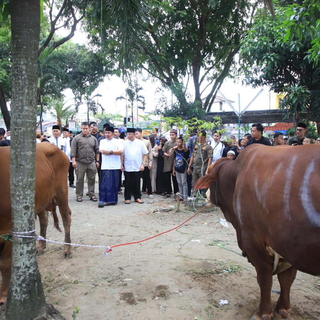Gubernur Sumsel Herman Deru Tinjau Pemotongan Hewan Qurban Usai Shalat Jumat dan Open House Idul Adha 1446 H