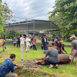 PTBA Salurkan 331 Hewan Kurban ke Seluruh Wilayah Operasional PTBA Salurkan 331 Hewan Kurban ke Seluruh Wilayah Operasional