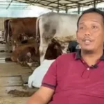 ‘Yang Lain pada Cari Kerja, Saya Cari Rumput, Sekarang Punya Aset Rp 80 Miliar’