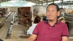 ‘Yang Lain pada Cari Kerja, Saya Cari Rumput, Sekarang Punya Aset Rp 80 Miliar’