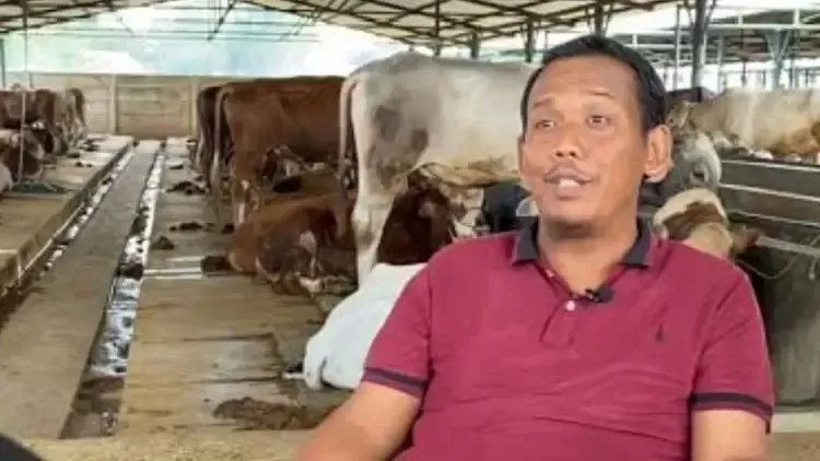 'Yang Lain pada Cari Kerja, Saya Cari Rumput, Sekarang Punya Aset Rp 80 Miliar'