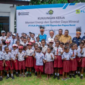 Program Lisdes Kementerian ESDM Percepat Pemerataan Akses Listrik PLN di Papua