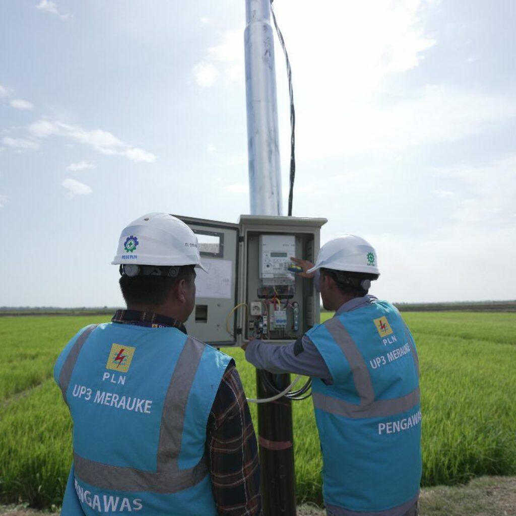 Keandalan dan Keterjangkauan Listrik Hadirkan _Multiplier Effect_ bagi Masyarakat, PLN Raih Apresiasi Literasi Nusantara 2025