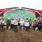 Pelaksanaan Penanaman Jagung Serentak Kuartal III Tahun 2025