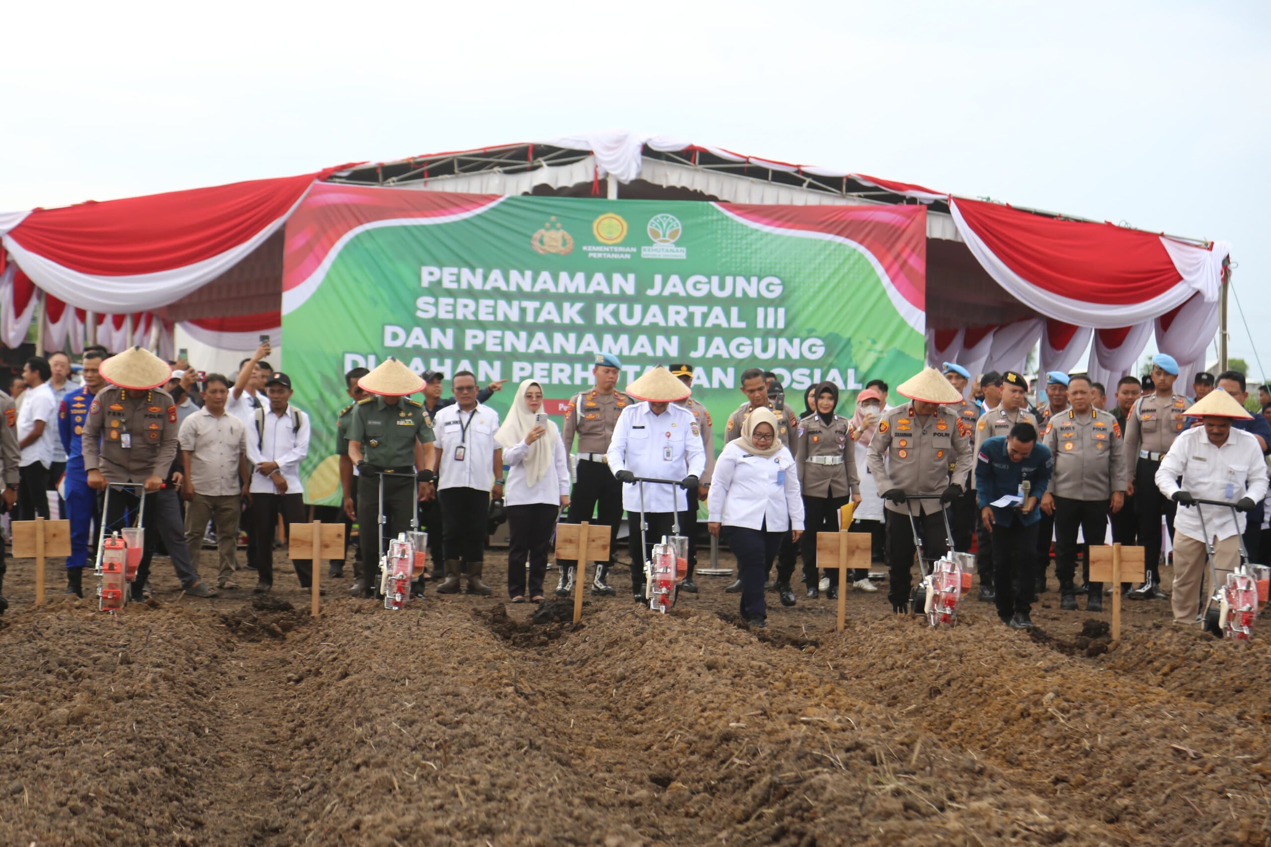 Pelaksanaan Penanaman Jagung Serentak Kuartal III Tahun 2025