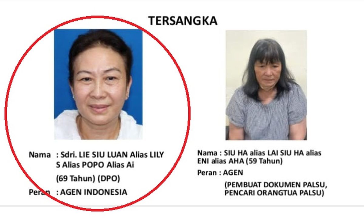 Pengendali dan Penyandang Dana Perdagangan Bayi ke Singapura Ditangkap, Ini Namanya!