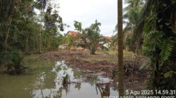 Banjir Merendam Dusun 1 Desa Simpang Bayat, Bayung Lencir