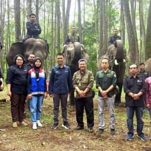 Pertamina Patra Niaga Dukung Konservasi Gajah Sumatera di Hari Gajah Sedunia 2025