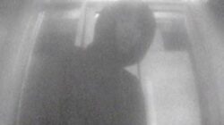 7DA7C423 B4DC 4418 8981 516D7D25BEED