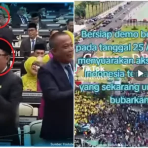 Muak dengan Joget-joget Anggota DPR dan Gajinya yang Fantastis, Muncul Video Seruan Demo Besar-besaran untuk Bubarkan DPR!