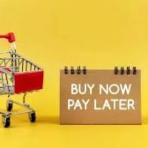 Utang Paylater Warga Indonesia Tembus Rp31,55 Triliun per Juni 2025