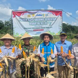 PLN Sukses Amankan Pasokan Listrik pada Panen Raya Jagung Serentak Bersama Kapolri di Sumatera Selatan