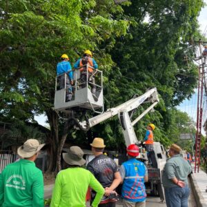 PLN ULP Muara Enim Tingkatkan Keandalan Listrik melalui Program Right of Way Sinergitas dengan Dinas Perkimtan Muara Enim