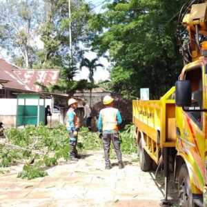 PLN UP3 Lubuklinggau Sambut Hari Kesaktian Pancasila dengan Pembersihan Jalur Listrik di Jalan Lintas Sumatera dan Kota Lubuklinggau