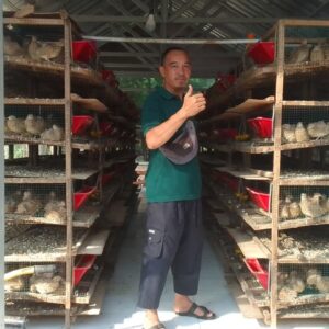 Kisah Agus Sang Peternak Puyuh di Desa Darmo, Berawal dari Hobi Hingga Jadi Ladang Rezeki