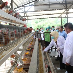 Gubernur Sumsel Pastikan Sertifikasi NKV Jadi Penjamin Kesehatan Konsumen