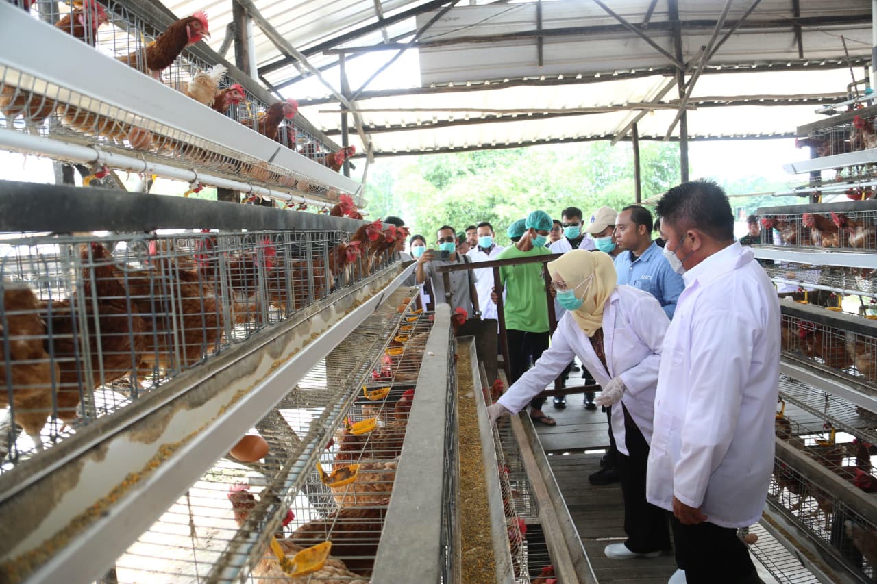 Gubernur Sumsel Pastikan Sertifikasi NKV Jadi Penjamin Kesehatan Konsumen