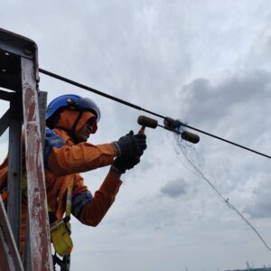Jaga Keandalan Transmisi Jelang Hari Sumpah Pemuda, PLN UPT Palembang Bersihkan Benda Asing di Jaringan 70 kV Seduduk Putih–Boom Baru