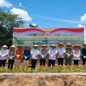 Kolaborasi Wujudkan Ketahanan Pangan Melalui Program Penanaman Jagung
