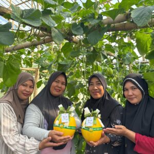 HBAP Toreh Prestasi Internasional Lewat Program Hijau Berbasis Agribisnis Pekarangan