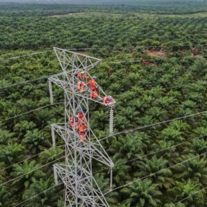 PLN Dorong Interkoneksi ASEAN Power Grid untuk Akselerasi Transisi Energi Bersih