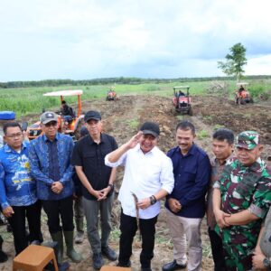 Sumsel Catat Kenaikan Produksi Beras dan Gabah Tertinggi Nasional, Bukti Keberhasilan Program Cetak Sawah