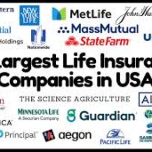 Mutual Insurance Company Usa
