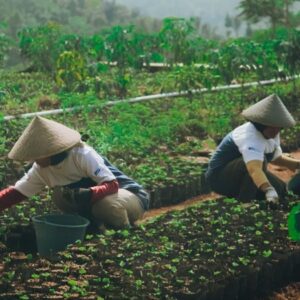 Astra Dukung Pemberdayaan Ekonomi Desa Petani Kopi Garut