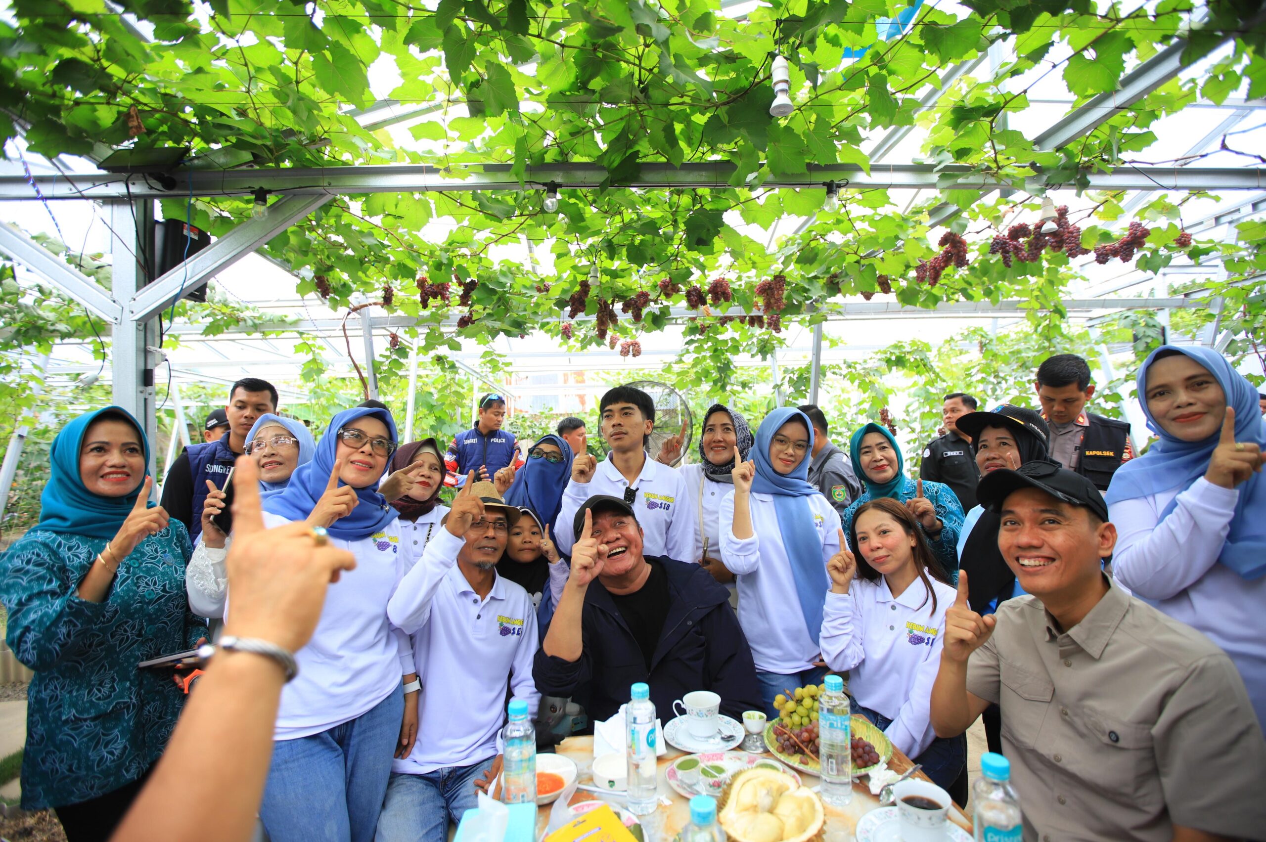 Kebun Anggur Viral di Desa Selapan Ilir