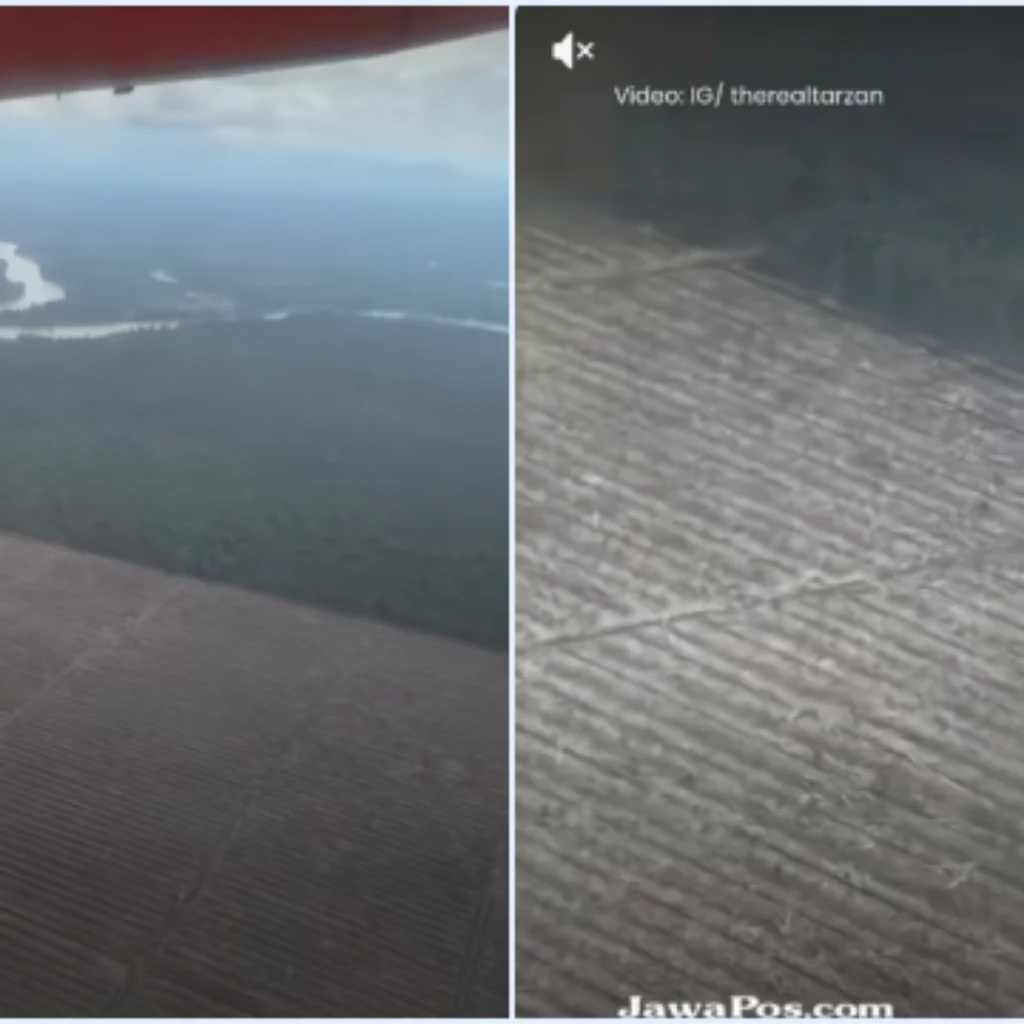 Viral! Video Influencer Amerika Videokan Parahnya Deforestasi Hutan Sumatera, Gundul Sejauh Mata Memandang