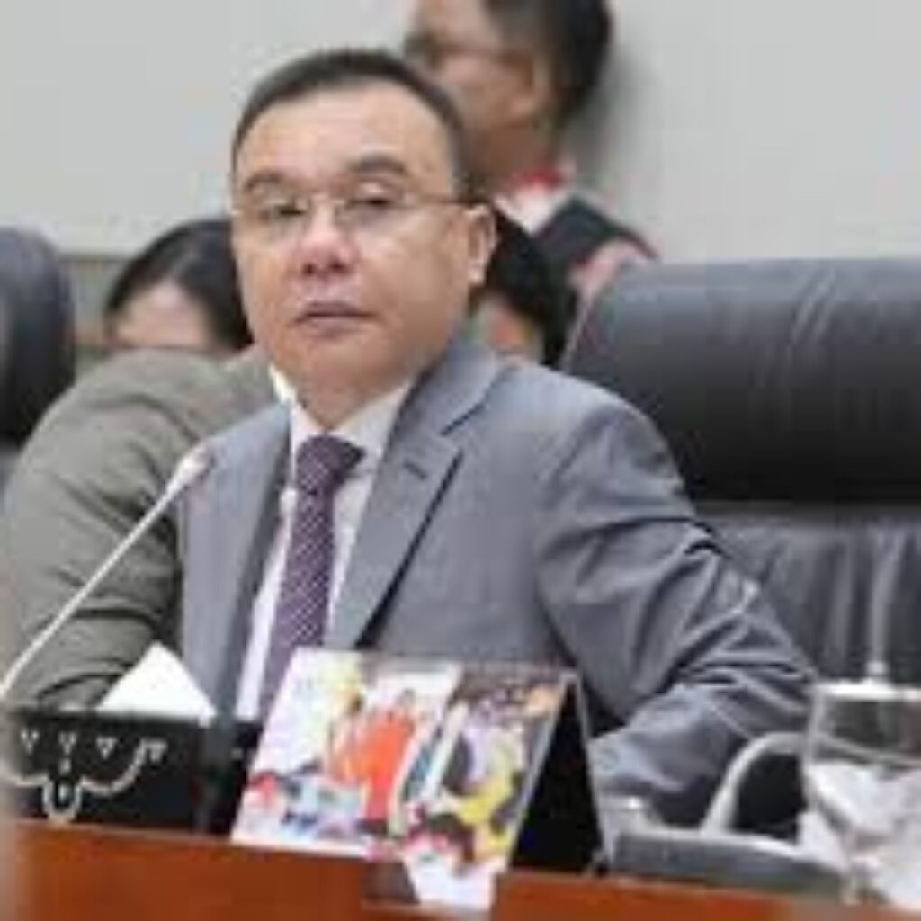 Press Release Negatif Mencatut Sufmi Dasco Ahmad Berpotensi Mengadu Domba
