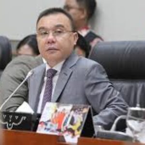 Press Release Negatif Mencatut Sufmi Dasco Ahmad Berpotensi Mengadu Domba