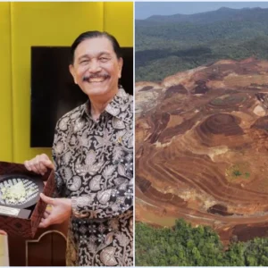 Reforestasi Kok seMakin Gundul? Kucuran Dana Rp815 Miliar dari UEA Dipertanyakan Publik