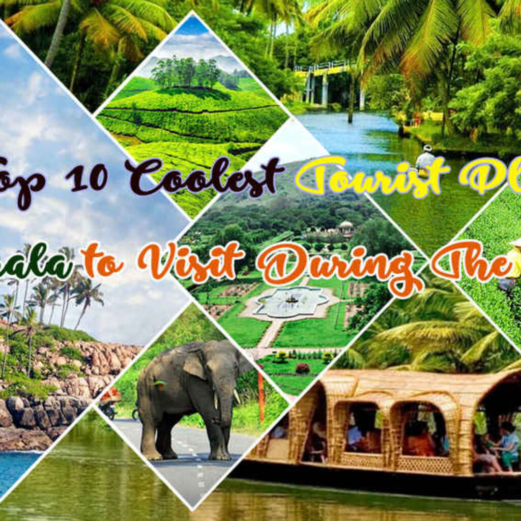 Tourist Places In Kerala Cold