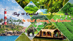 Tourist Places In Kerala Cold