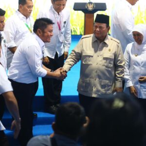 Provinsi Sumsel Borong Penghargaan Pangan Nasional, Banyuasin dan OKU Timur Diapresiasi Presiden Prabowo