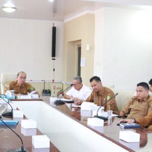 Pemkab Muba Siap Dukung Program Lisdes, Listrik Pedesaan Jadi Prioritas